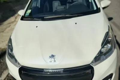 Miniatura