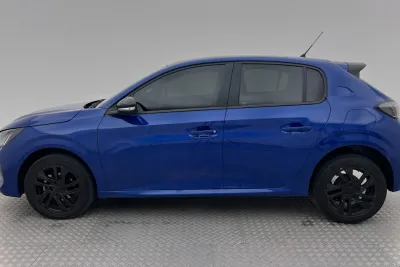 Miniatura