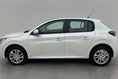 Miniatura